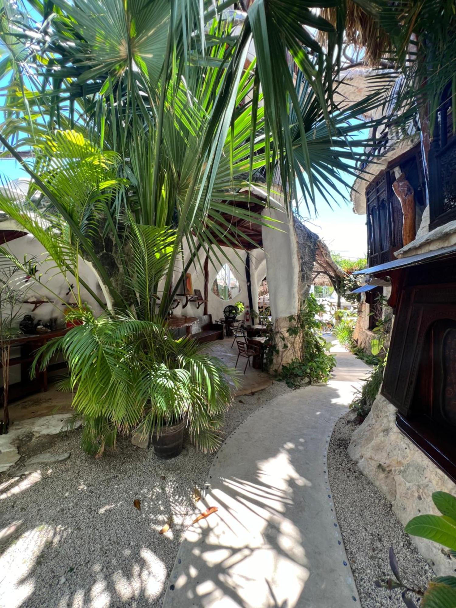 La Quinta Orquidea Bed & Breakfast ปัวร์โตโมเรลอส ภายนอก รูปภาพ