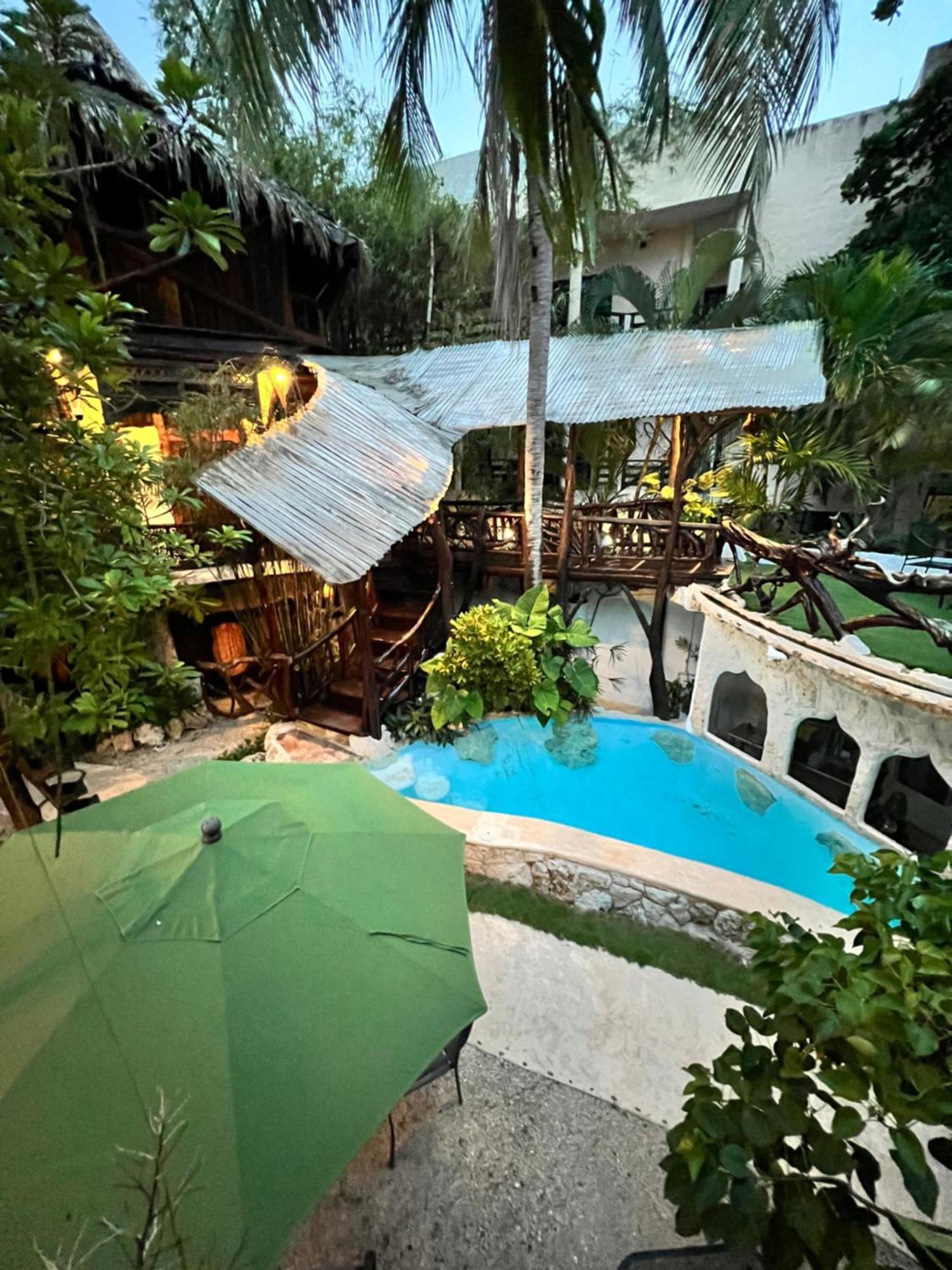 La Quinta Orquidea Bed & Breakfast ปัวร์โตโมเรลอส ภายนอก รูปภาพ