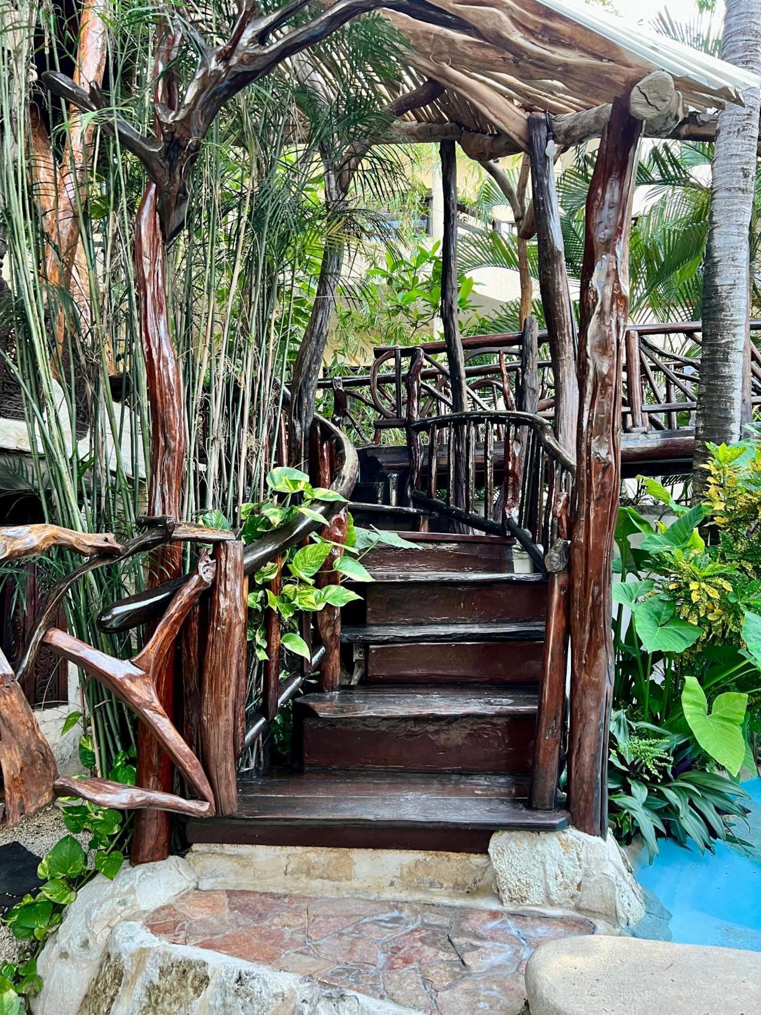 La Quinta Orquidea Bed & Breakfast ปัวร์โตโมเรลอส ภายนอก รูปภาพ