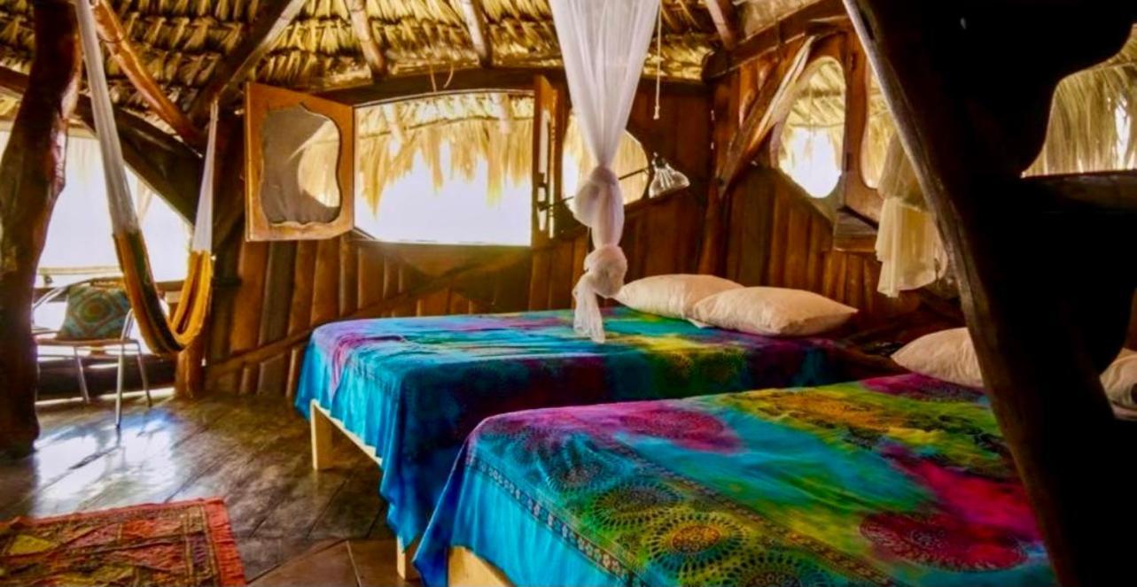 La Quinta Orquidea Bed & Breakfast ปัวร์โตโมเรลอส ภายนอก รูปภาพ