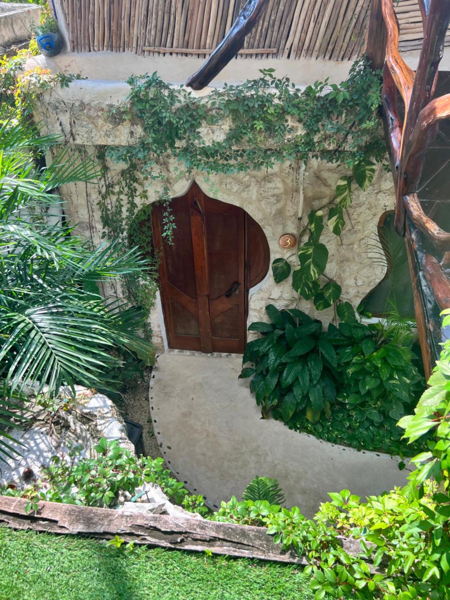 La Quinta Orquidea Bed & Breakfast ปัวร์โตโมเรลอส ภายนอก รูปภาพ