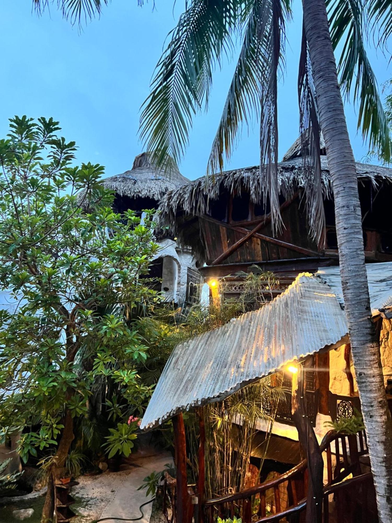 La Quinta Orquidea Bed & Breakfast ปัวร์โตโมเรลอส ภายนอก รูปภาพ